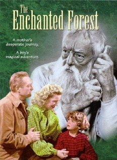 The Enchanted Forest mp4