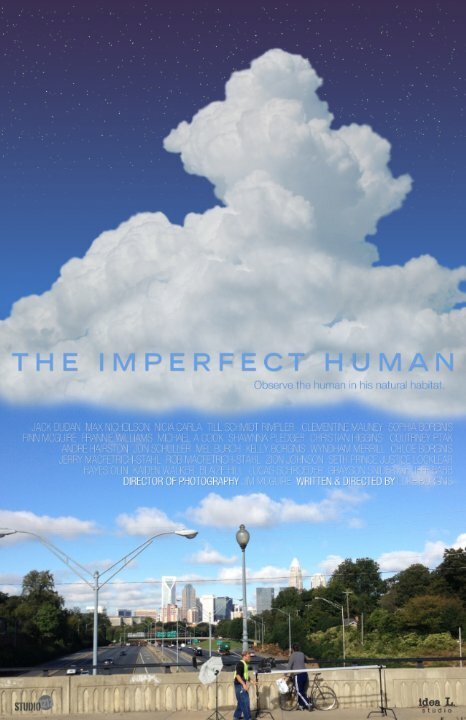 The Imperfect Human mp4