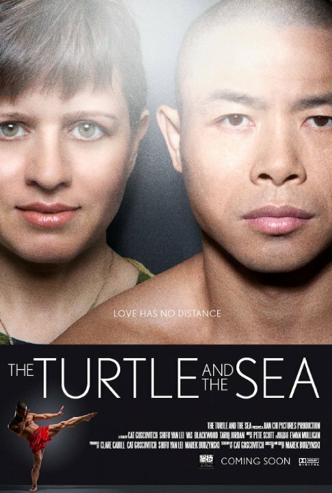 The Turtle and the Sea mp4