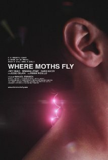 Where Moths Fly mp4