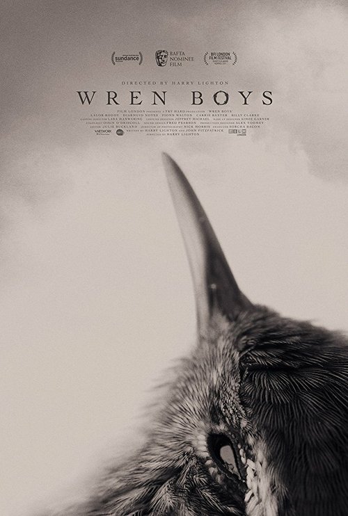 Wren Boys mp4