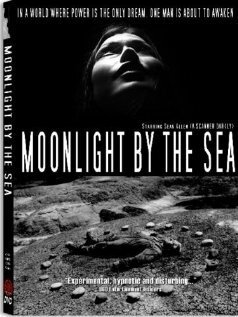 Moonlight by the Sea mp4