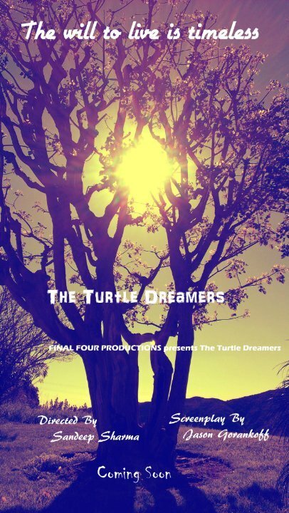 The Turtle Dreamers mp4