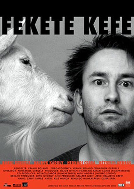 Черные щетки mp4