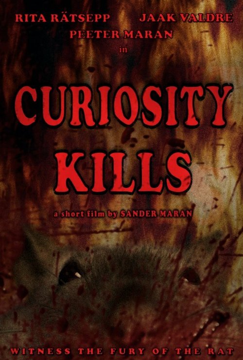 Curiosity Kills mp4