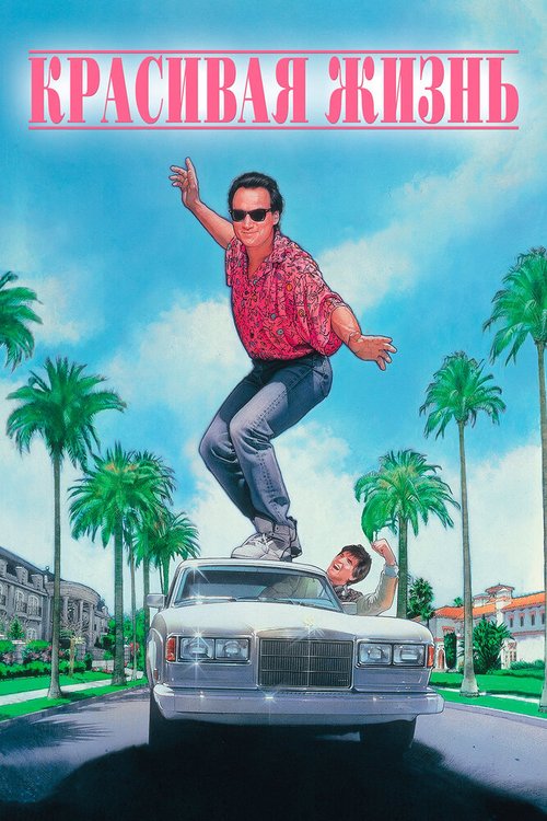 Красивая жизнь mp4