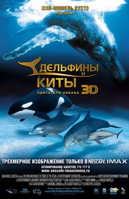 Дельфины и киты 3D mp4