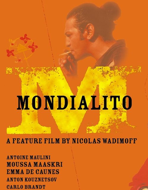 Маленький чемпионат мира mp4