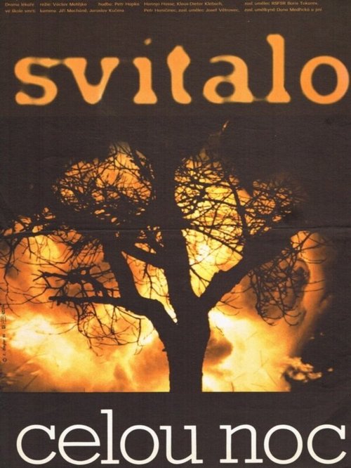 Светало всю ночь mp4