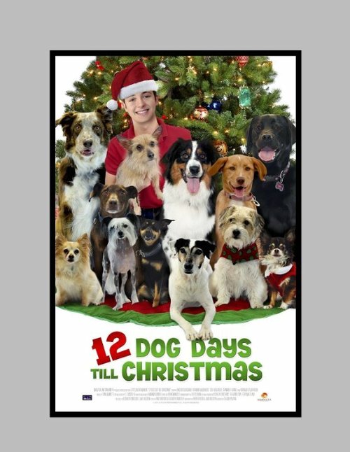 12 Dog Days of Christmas mp4