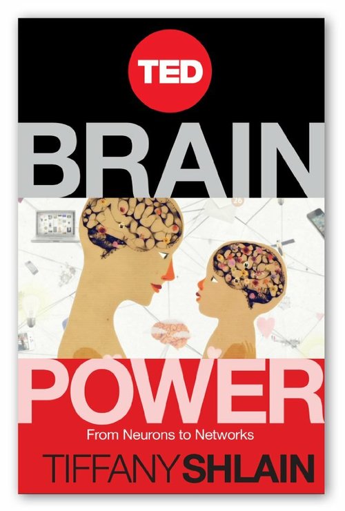 Brain Power: From Neurons to Networks mp4