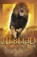 Львы 3D mp4