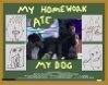 My Homework Ate My Dog mp4