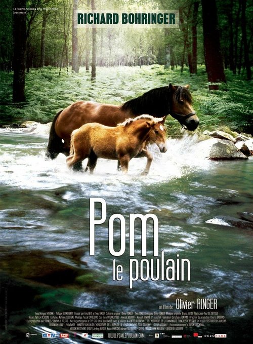 Pom, le poulain mp4