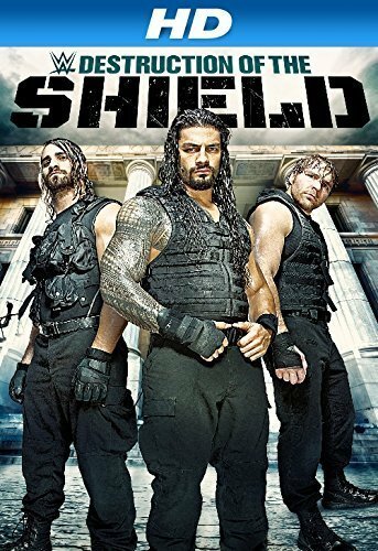 Journey to SummerSlam: The Destruction of the Shield mp4