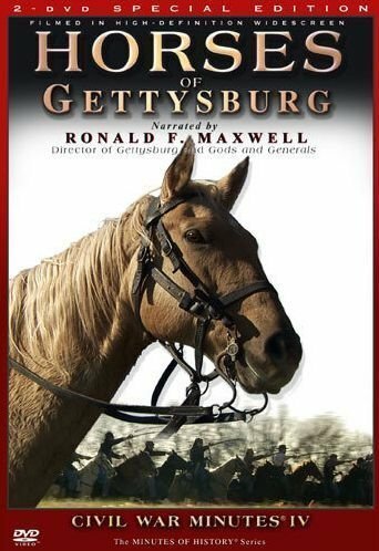 Horses of Gettysburg mp4